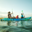 Rentals: Kayaks, SUPs,  Etc…